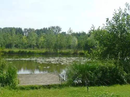 Camping Du Vivier Aux Carpes - Miniature 8