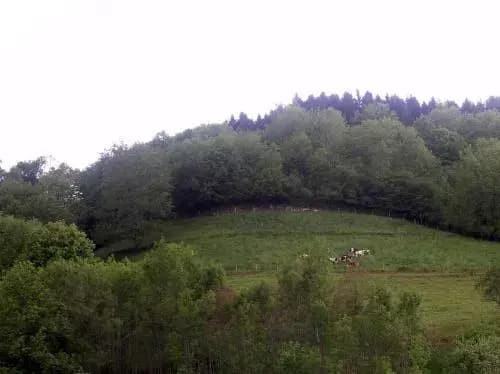 Gîte Henry - Photo 2