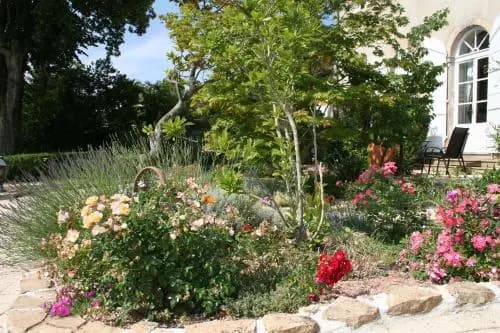 La Source En Barange - Miniature 6
