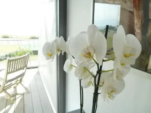 Villa Océan - B&B vue Mer - Photo 4