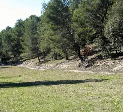 Les Restanques aux Oliviers - Photo 5