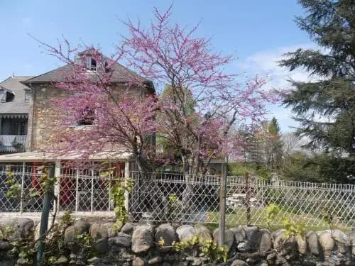 Gîte Tuyaret - Miniature 8