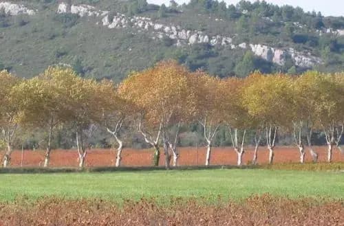 Gite de rêve Riverside Lagrasse - Photo 4