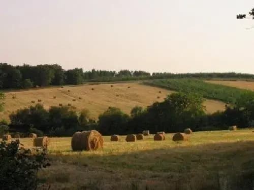 La Musardière - Miniature 8
