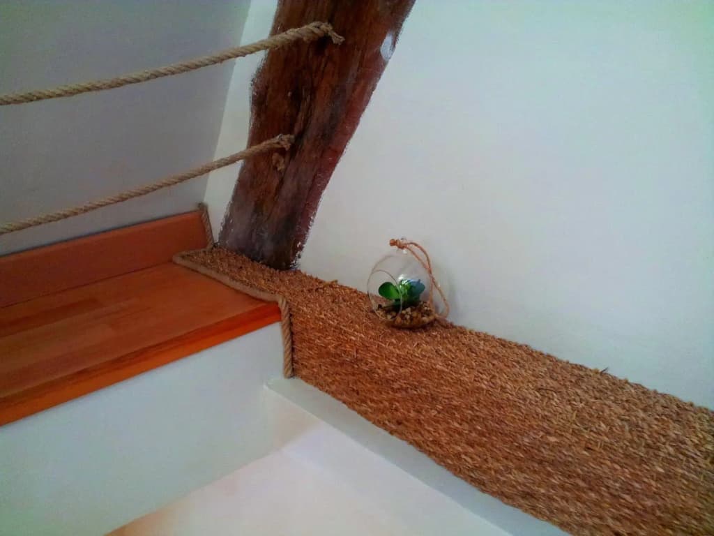 Duplex saint malo vue mer et intra muros - Miniature 8