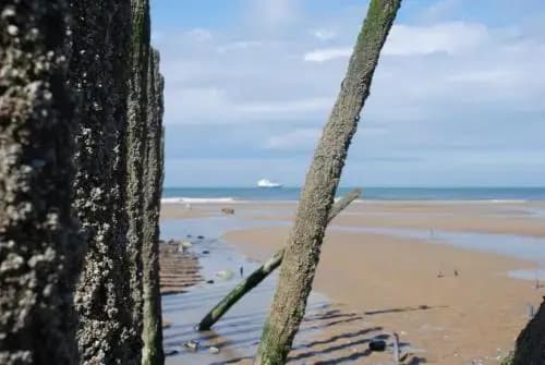 La Capelette - Miniature 7