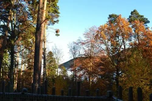 Domaine Hauts De Ribeauvillé - Photo 3