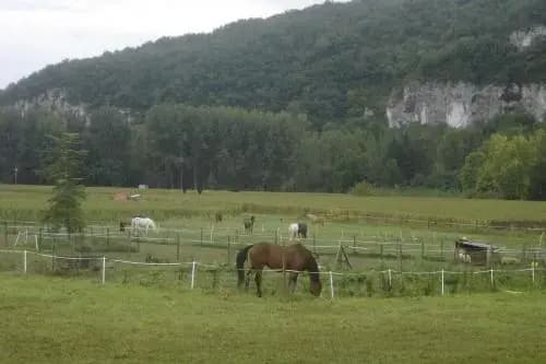 Paysannerie des Versanes - Photo 3