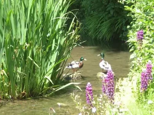 Au Moulin Saint Nicol B&B - Photo 4