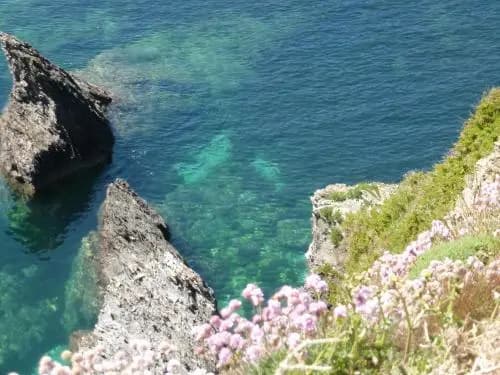 Camping Le Bordeneo - Photo 3