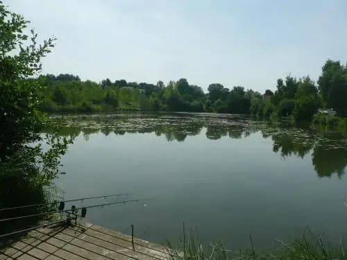 Camping Du Vivier Aux Carpes - Photo 5