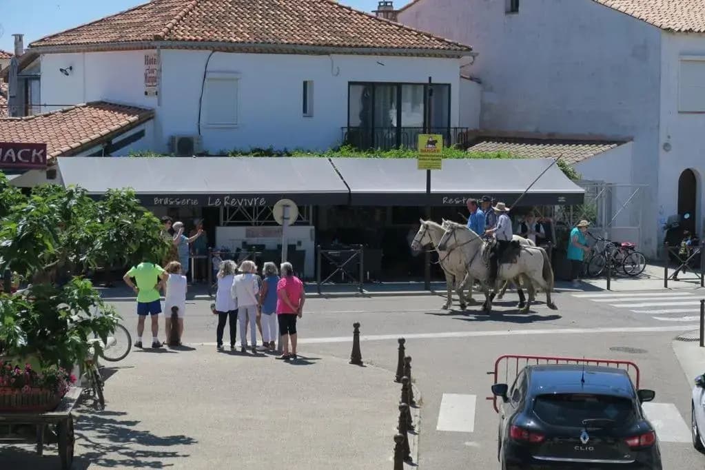 Appartement Camargue - Miniature 7