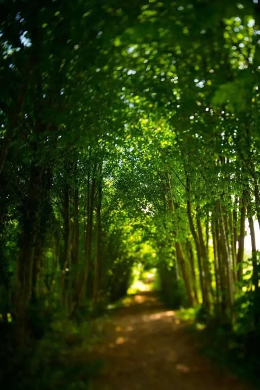 Domaine de La Groirie - Le Mans Ouest - Photo 1