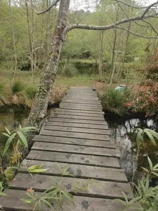 Maison bois au coeur de la nature. 2ha de terrain. Etangs - Photo 3