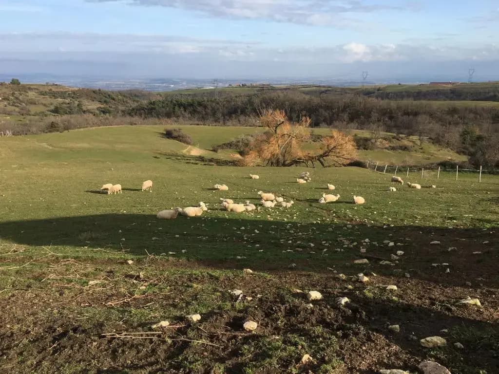 Ferme de Simondon - Photo 5