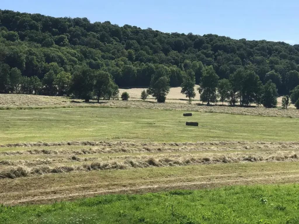Gîte 6 pers de la Vallée de l'Aujon - Photo 4