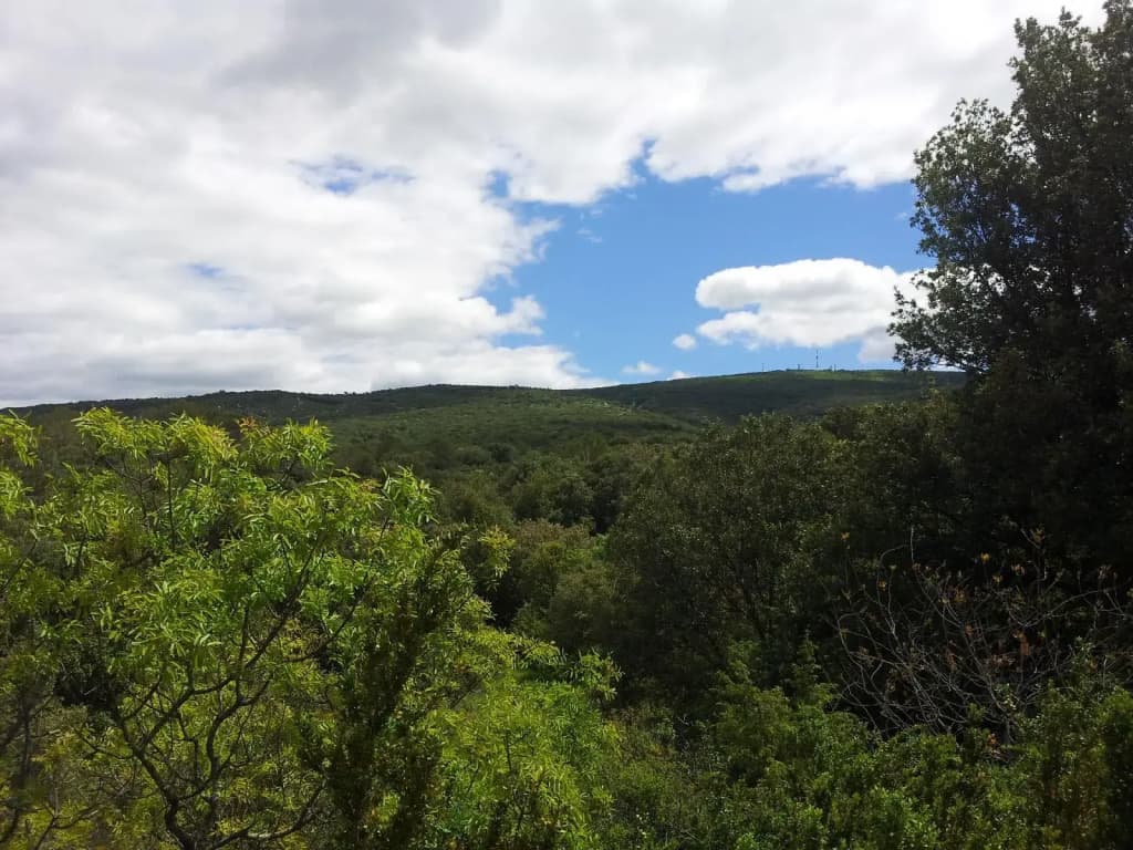 Mont Bouquet Lodge - Photo 1