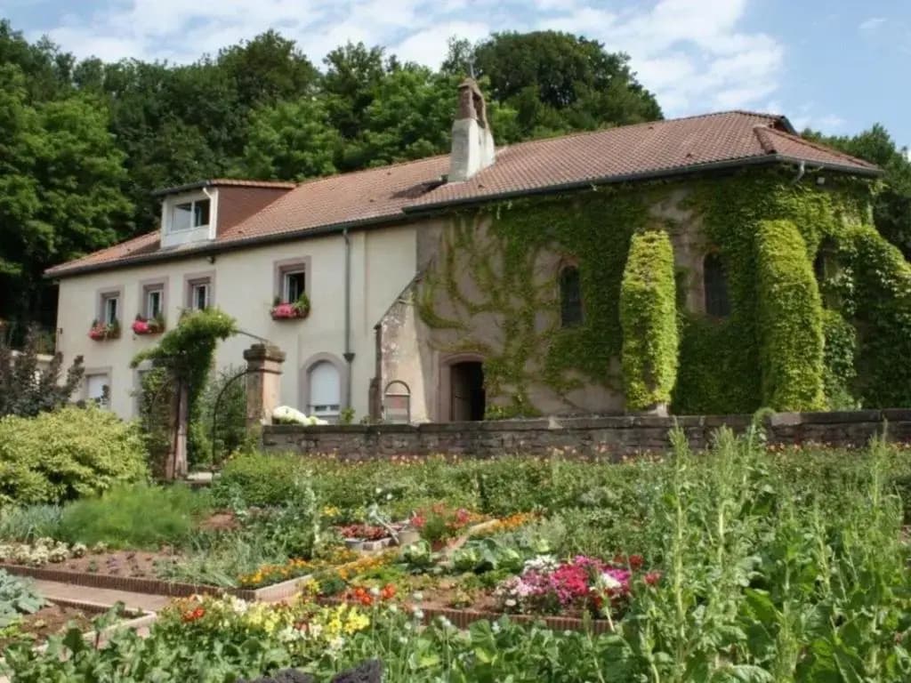 Gîte Saint-Dié-des-Vosges, 2 pièces, 2 personnes - FR-1-589-209 - Miniature 8