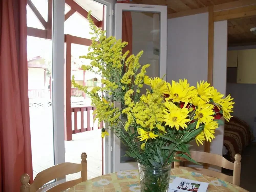 Camping Les Lacs de Courtes - Gîtes - Photo 1