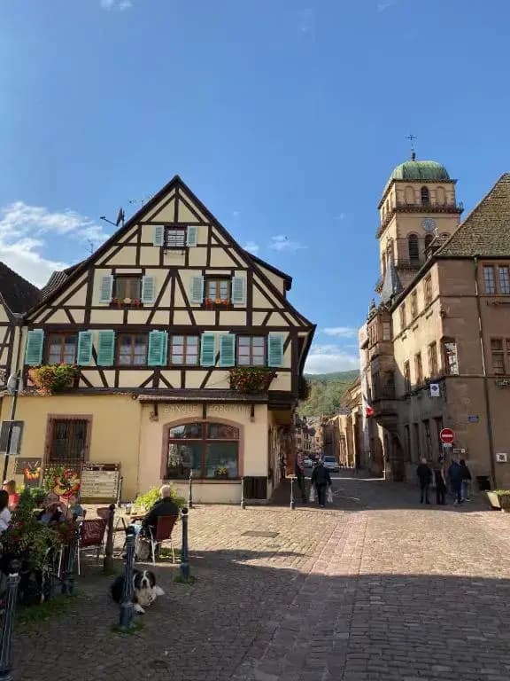Coeur d'alsace - Photo 1