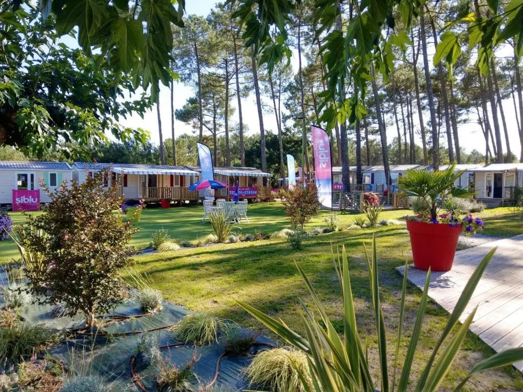 Bungalow de 2 chambres avec piscine partagee jardin amenage et wifi a Saint Julien en Born a 4 km de la plage - Photo 5