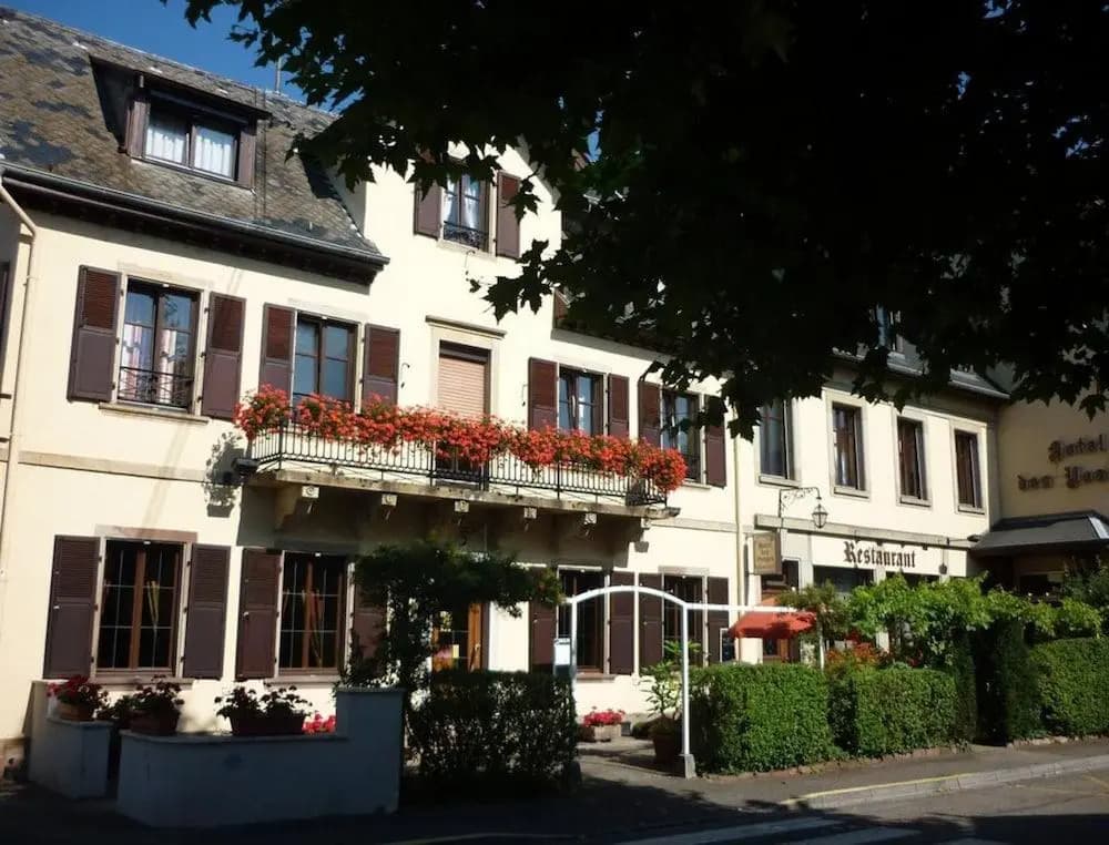 Citotel Les Vosges - Photo 1