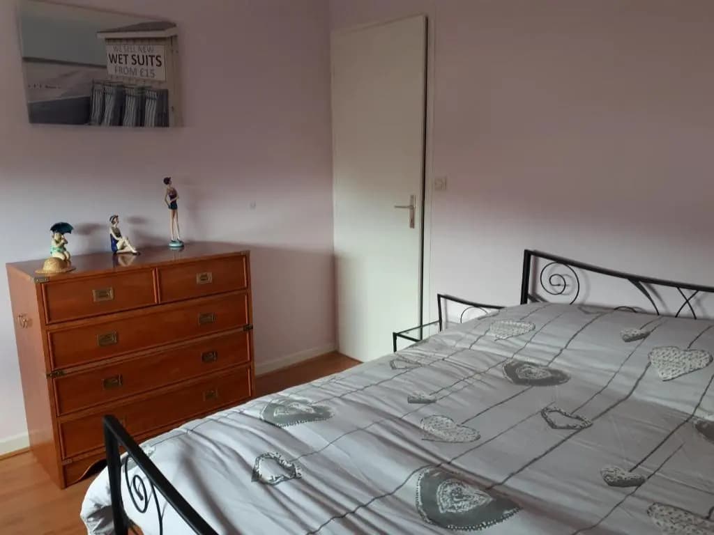 macareux - Photo 4