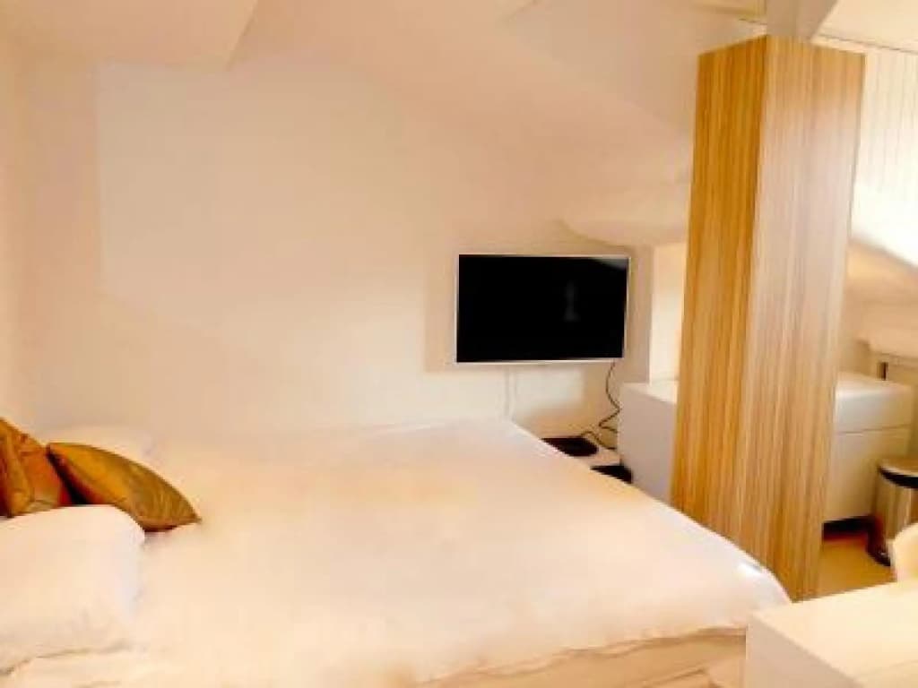 Studio Situated Right on the Rue Antibes Cannes Main Shopping Street Easy Walk to Beaches and Palais - 1585 - Photo 5