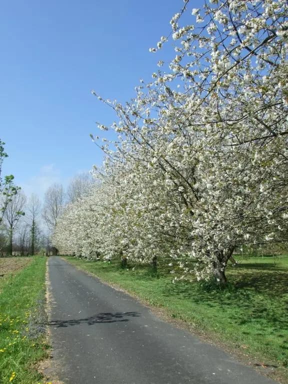 Moulin de la Fosse Soucy - Photo 2