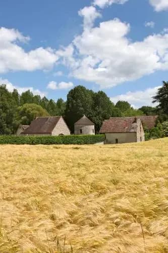 Le Colombier de Hanches - Photo 1