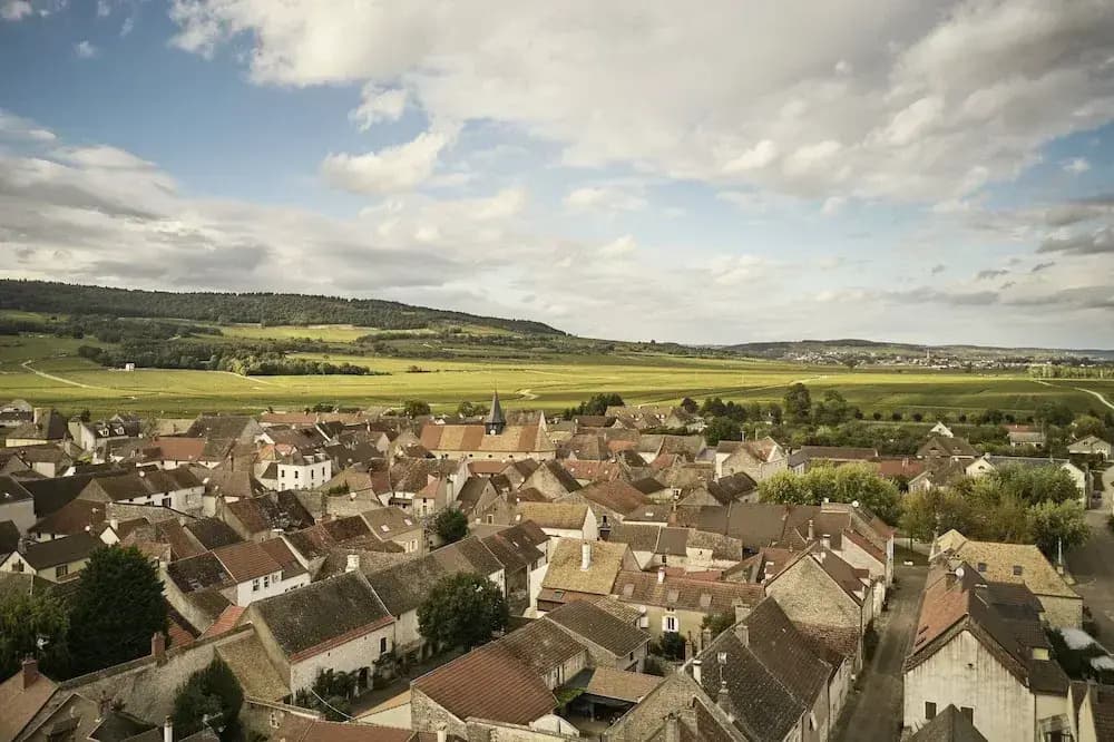 Le Montrachet - Photo 4