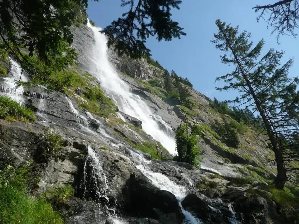 Le Perce Neige - Photo 3