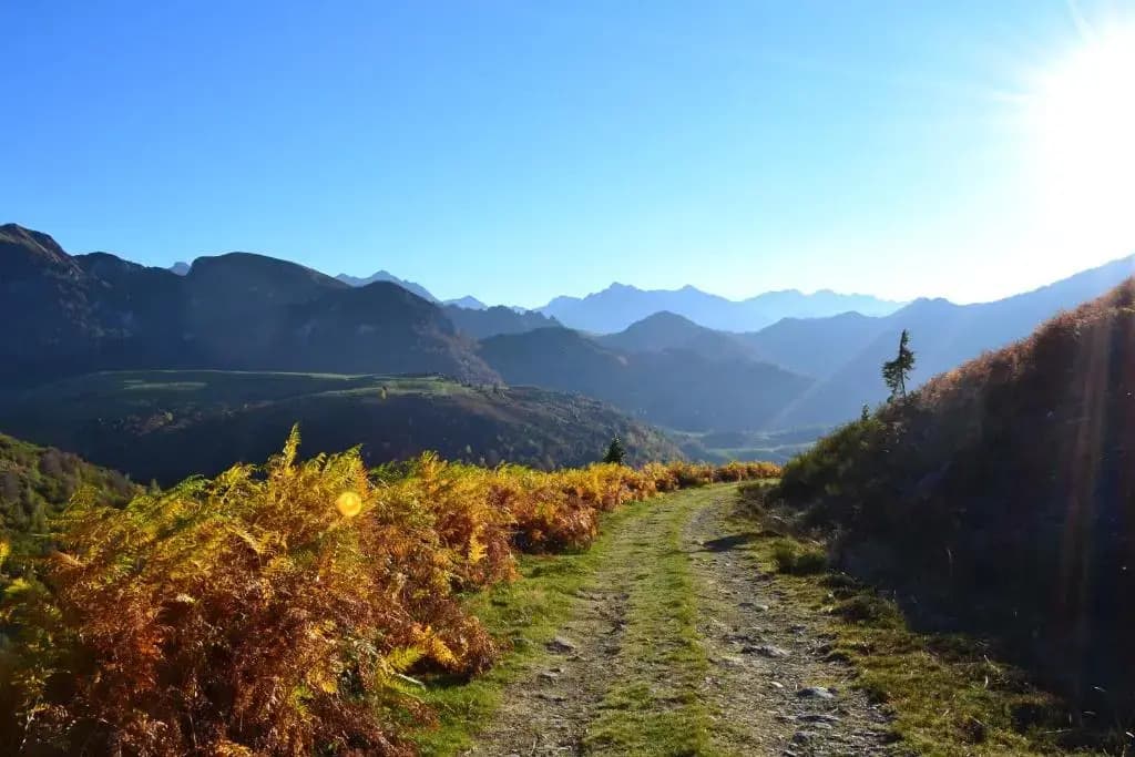 Grand Studio Détente et Nature au coeur des Pyrénées - Photo 3