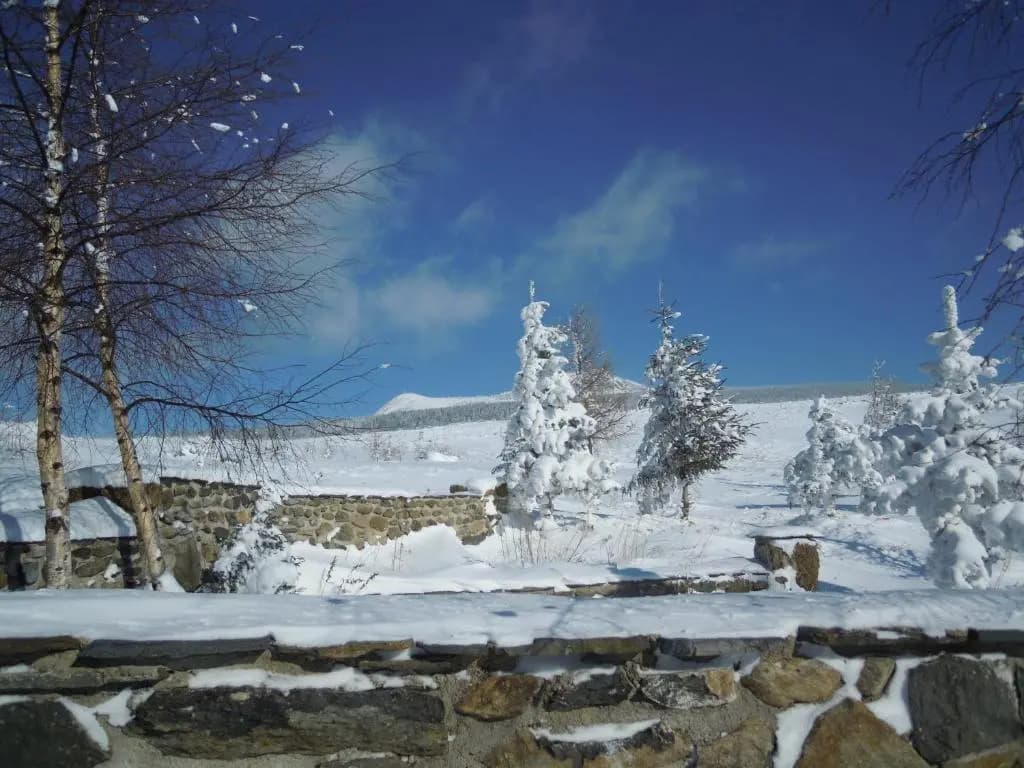 Gite Le Francillon - Photo 4