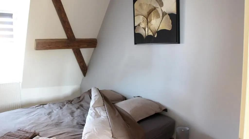 Appartement de 3 chambres avec terrasse amenagee et wifi a Eguisheim - Photo 3
