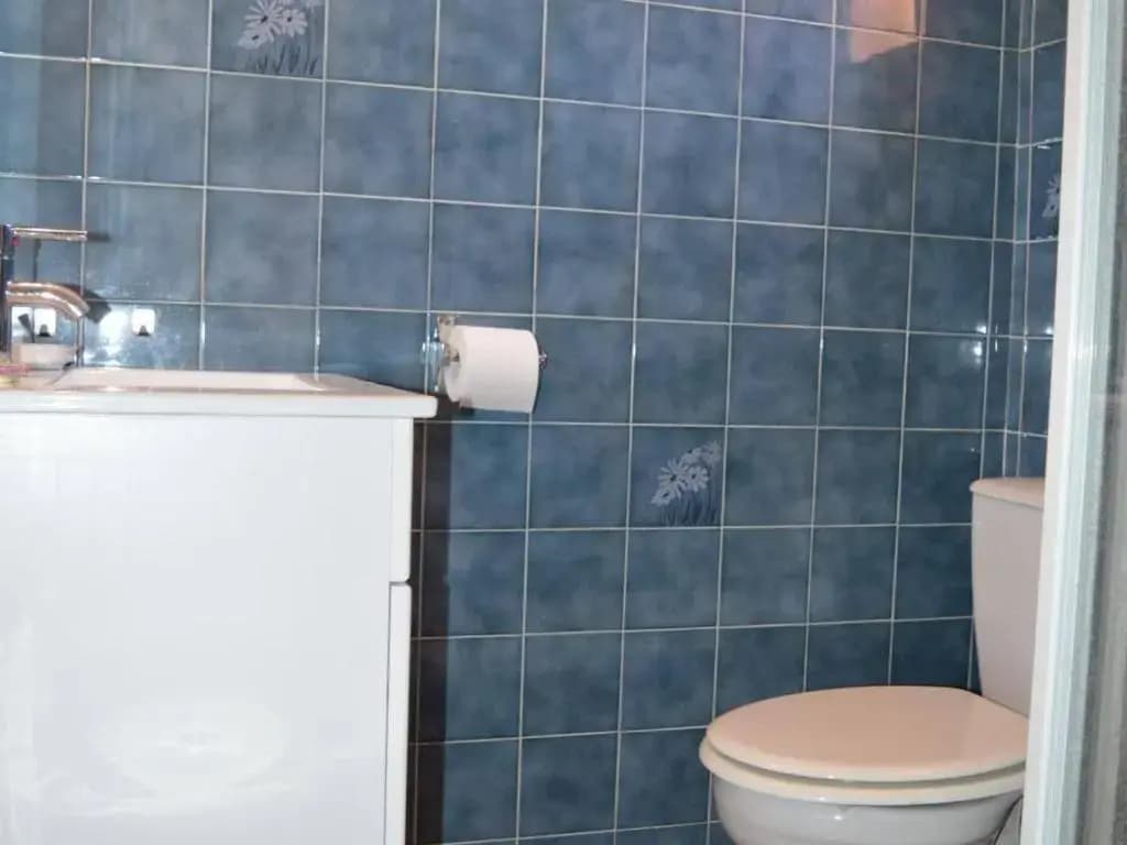 Appartement Saint-Cyprien, 1 pièce, 4 personnes - FR-1-225D-173 - Miniature 8