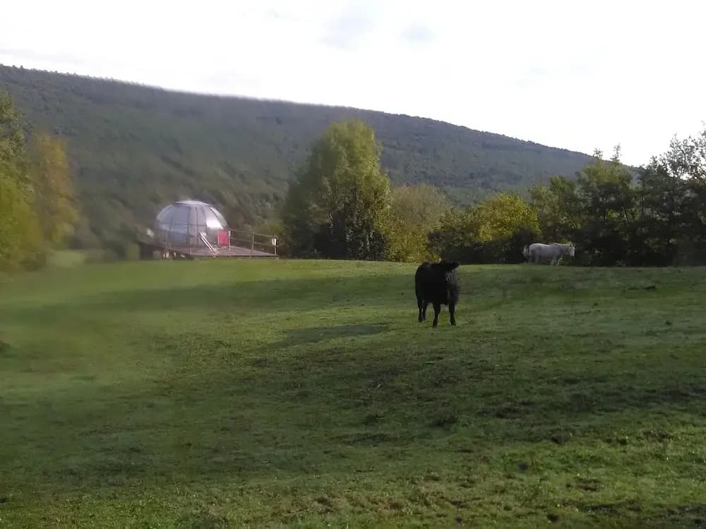 Ferme des Baillards - Photo 5