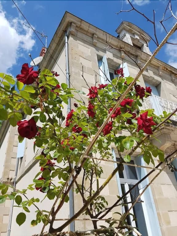 Chateau de L'Allee - Photo 1