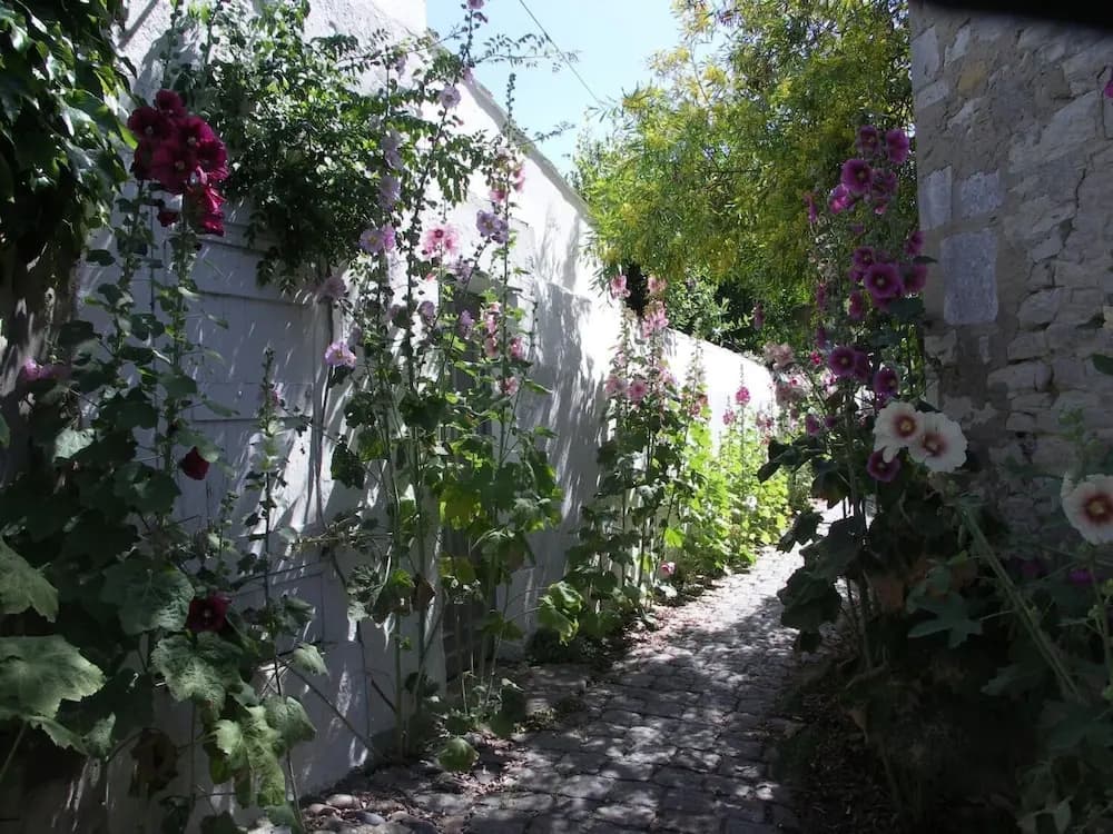 Maison Rhéa - Photo 3