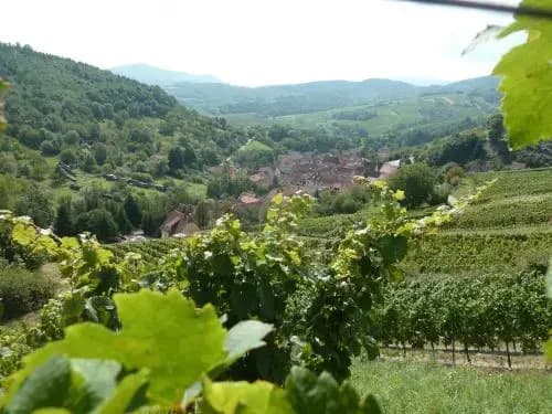 Schiefferberg - Photo 3