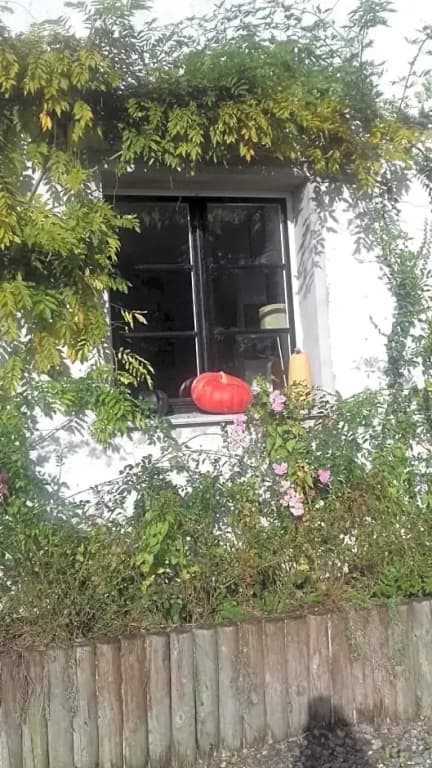 La Colline des Roses - Photo 4
