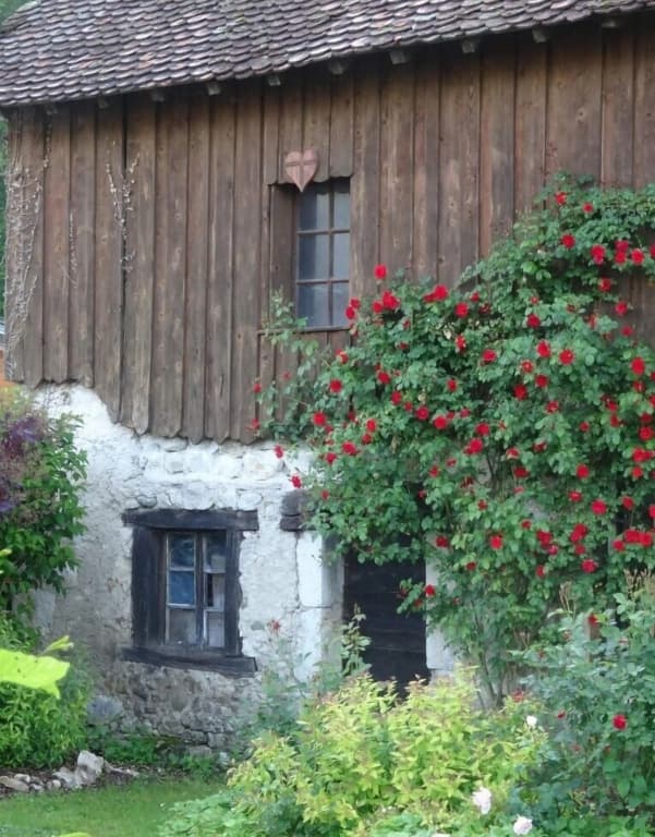 La Ferme Bonne de la Grotte - Photo 3