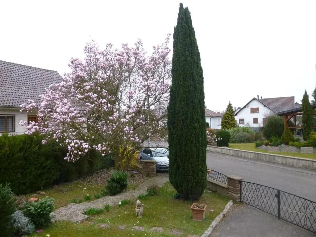 Jardin Fleuri - Photo 2