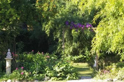 L'Impasse du Temple - Miniature 8