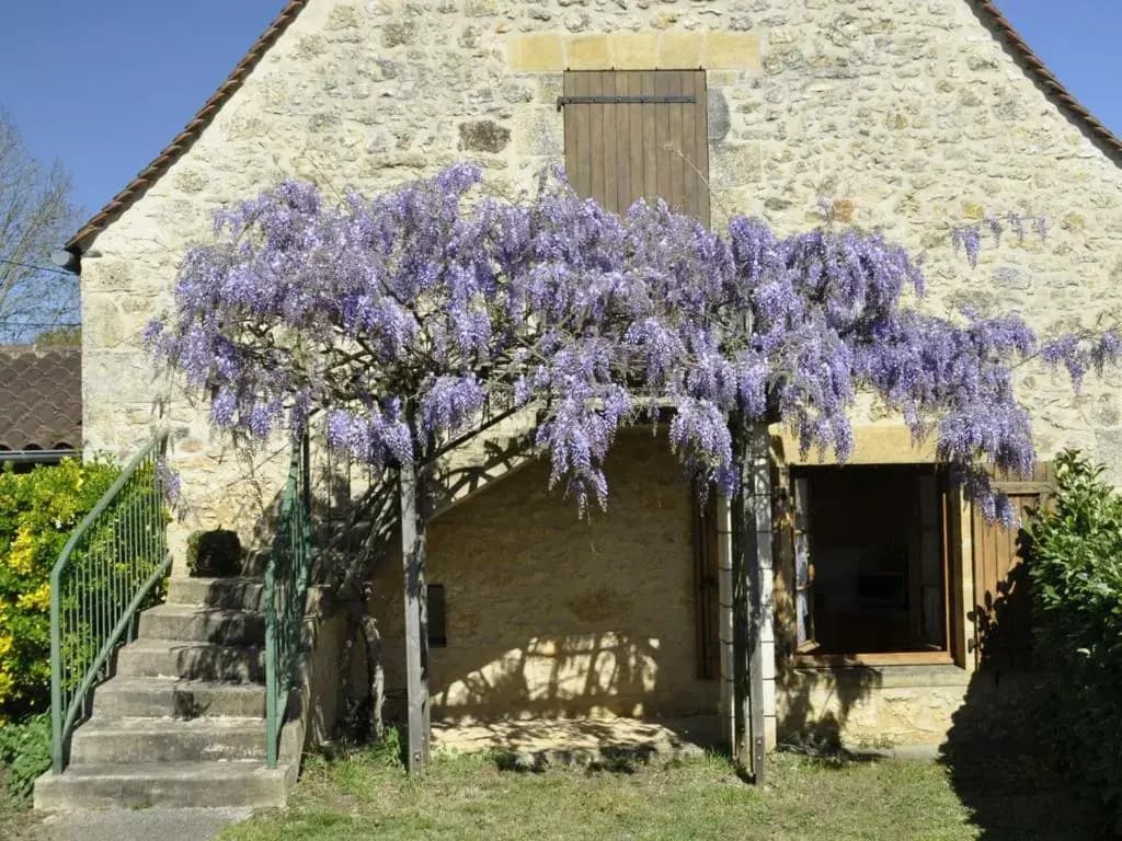 Gîte Daglan, 3 pièces, 4 personnes - FR-1-616-77 - Photo 1