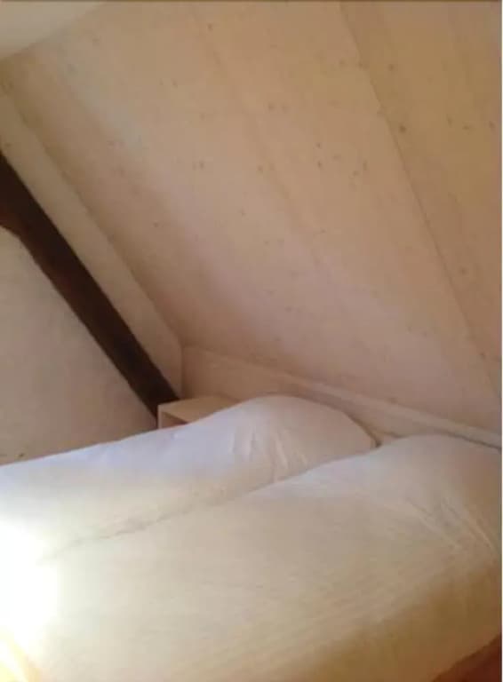 Le Gîte du Donon - Photo 3