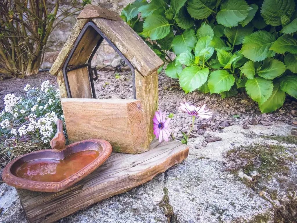 Domaine des fées - Miniature 7