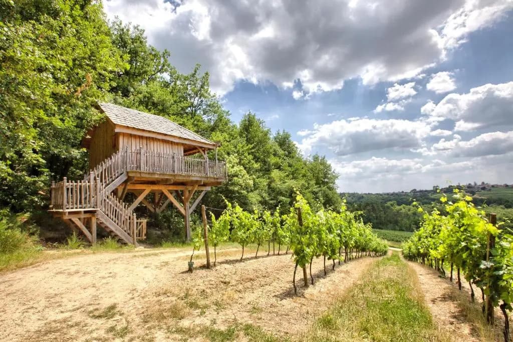 Les Cabanes des Benauges - Photo 2