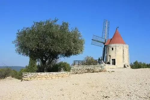 La Pauseto - Photo 3