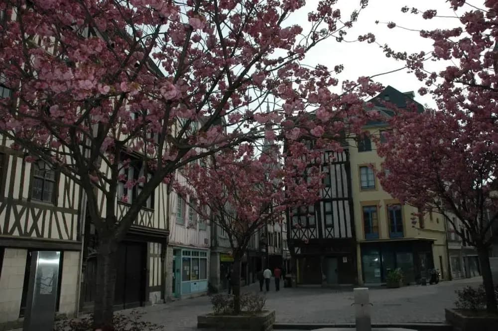 Rouen Quartier St Maclou - Photo 1